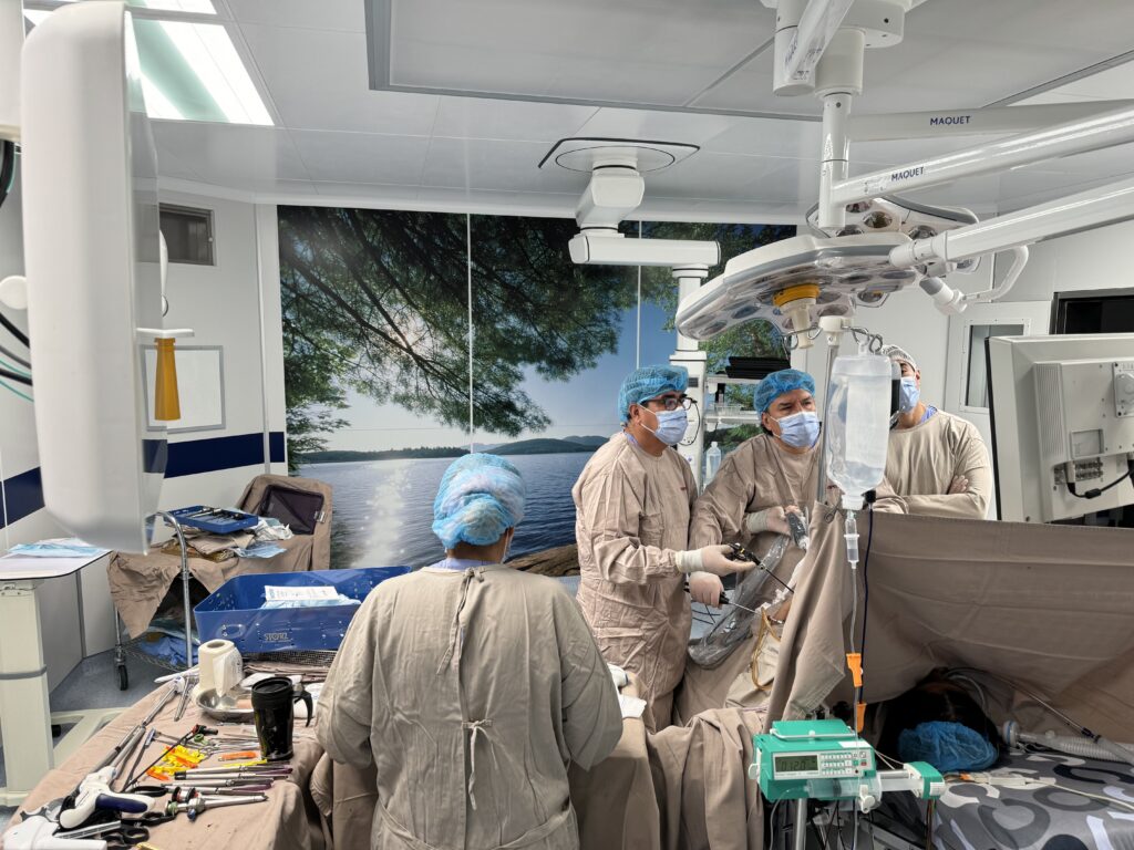 IMG 9007 2 1 1024x768